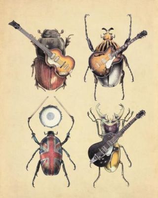 Meet The Beetles