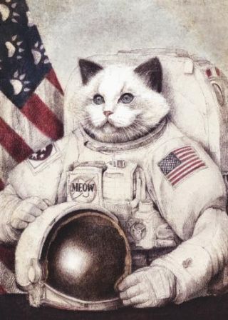 Meow Out Of Space