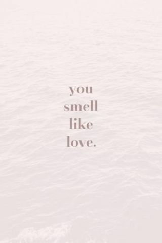 Motivational Quotes - You Smell Like Love