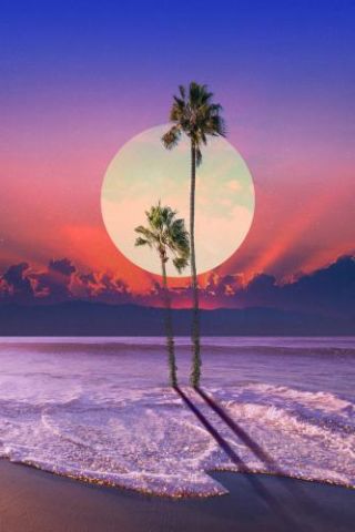 Ocean Palm Tree Collage