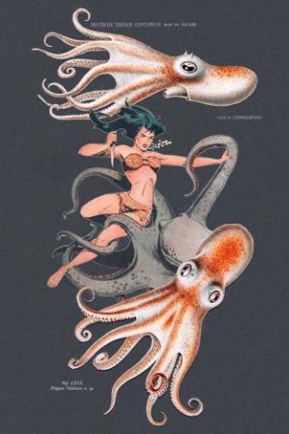 Octopus nymph