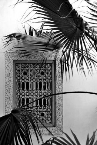 Orient Palms & Garden Dreams  Black & White Edition