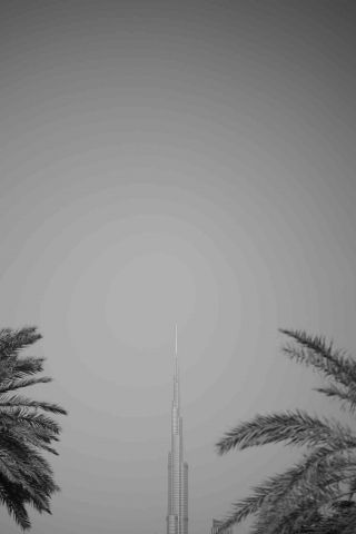 Urban Oasis: Burj Khalifa and Palm Trees 1