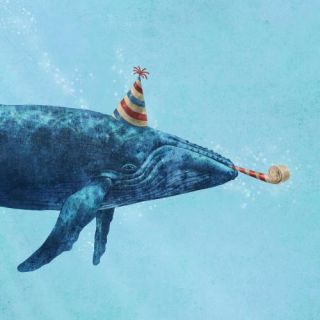 Party Whale 