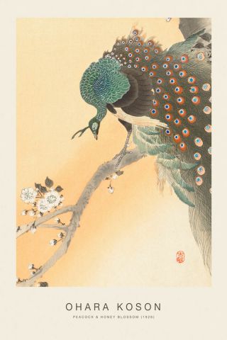 Peacock & Honey Blossom (SE) - Ohara Koson