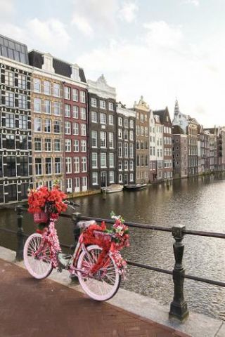 Pink Bike In Amsterdam
