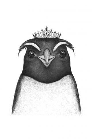 Queen penguin