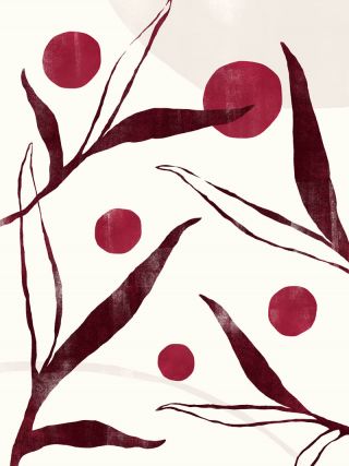 Ruby Abstract Fruit 2