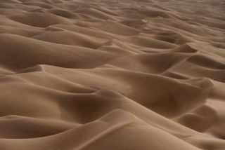 Sea of dunes in the Sahara