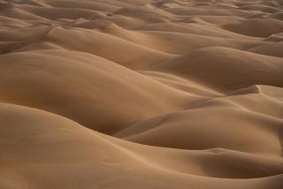 Sea of sand dunes in the sahara desert