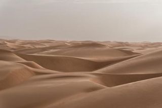 Sea of sand in the Sahara