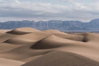 Silence In The Desert
