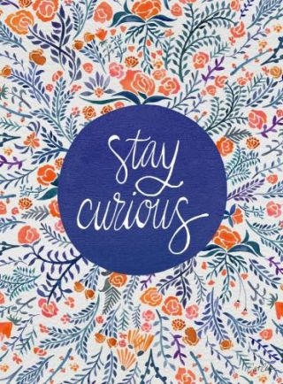 Stay Curious – Navy & Coral