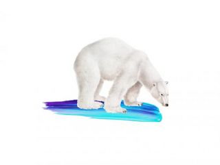 The Polar Bear And The Painting