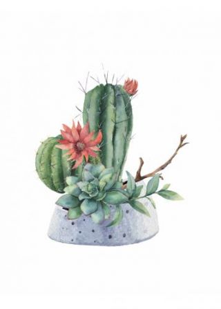 The Watercolor Cactus