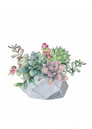 The Watercolor Succulents