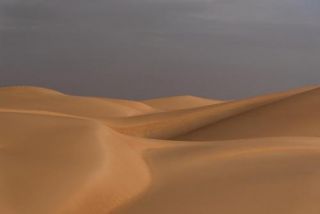 The art of the Sahara