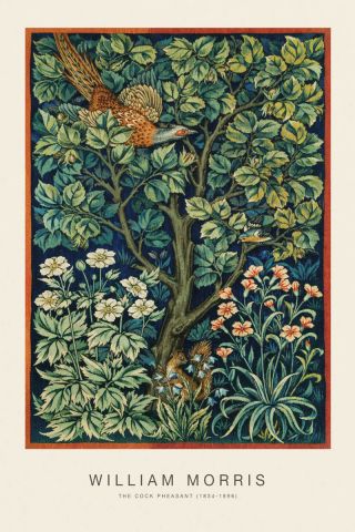 The Cock Pheasant (SE) - William Morris