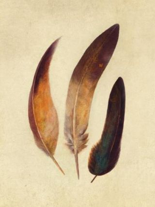 Three Feathers 