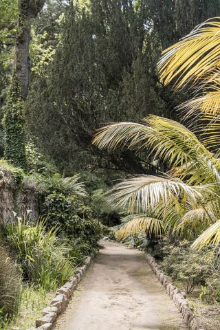 Tropical Garden Walk