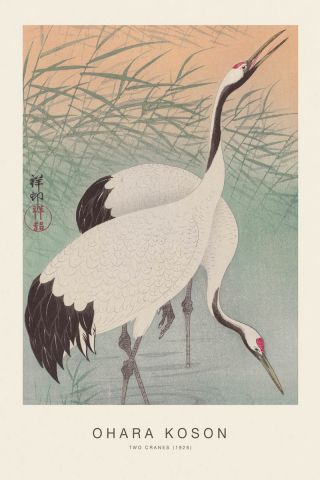 Two Cranes (SE) - Ohara Koson