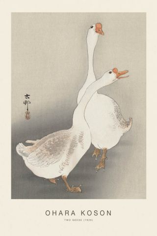 Two Geese (SE) - Ohara Koson