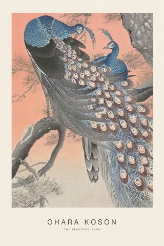 Two Peacocks (SE) - Ohara Koson