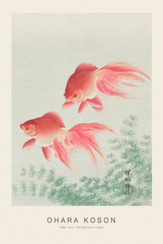 Two Veil Goldfish (SE) - Ohara Koson