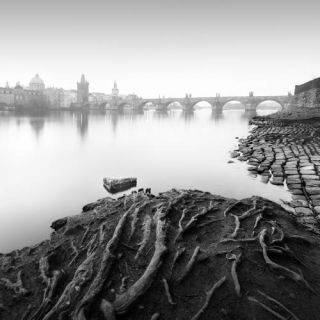 Vltava River - Study 8 | Prag 2020