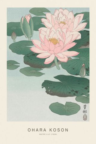 Water Lily (SE) - Ohara Koson