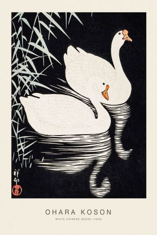 White Chinese Geese (SE) - Ohara Koson