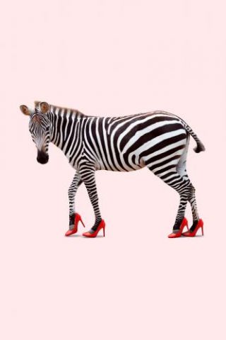 Zebra Heels 2.0