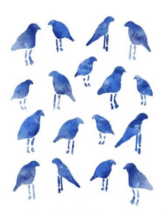 Blue Birds