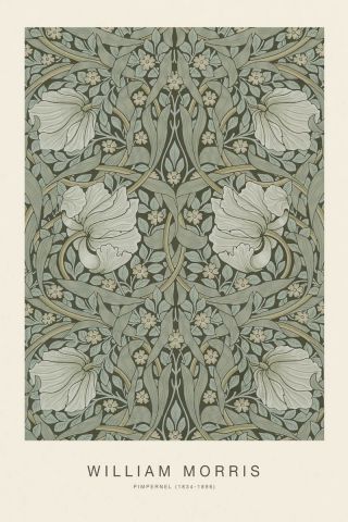 Pimpernel (SE) - William Morris